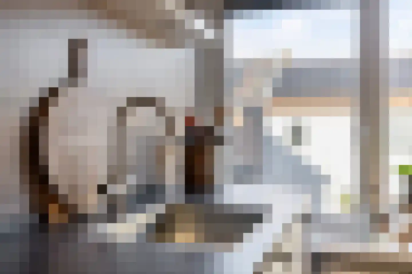 Dorpsstraat 140 Scherpenzeel thumbnail 26