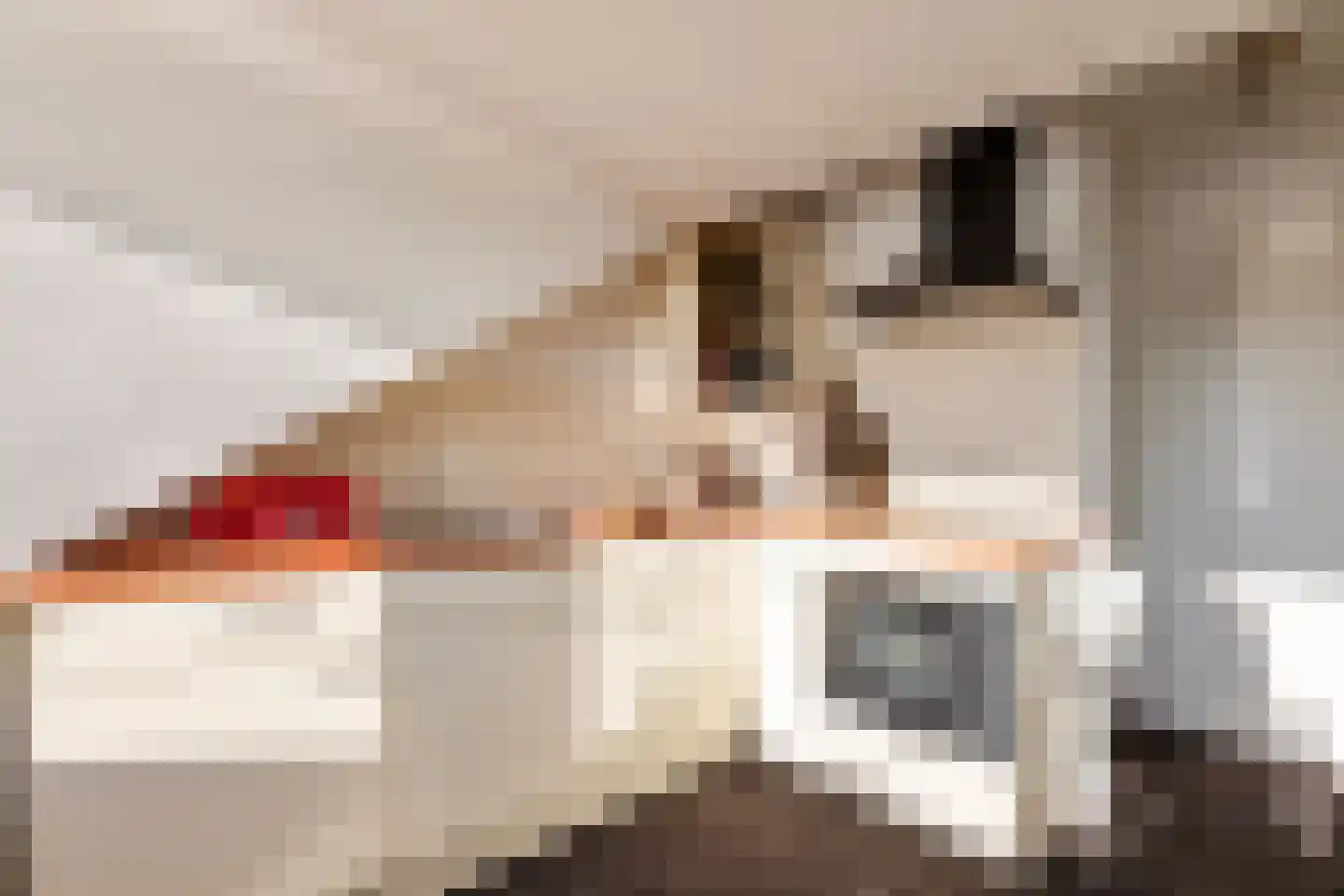 Dorpsstraat 140 Scherpenzeel thumbnail 36