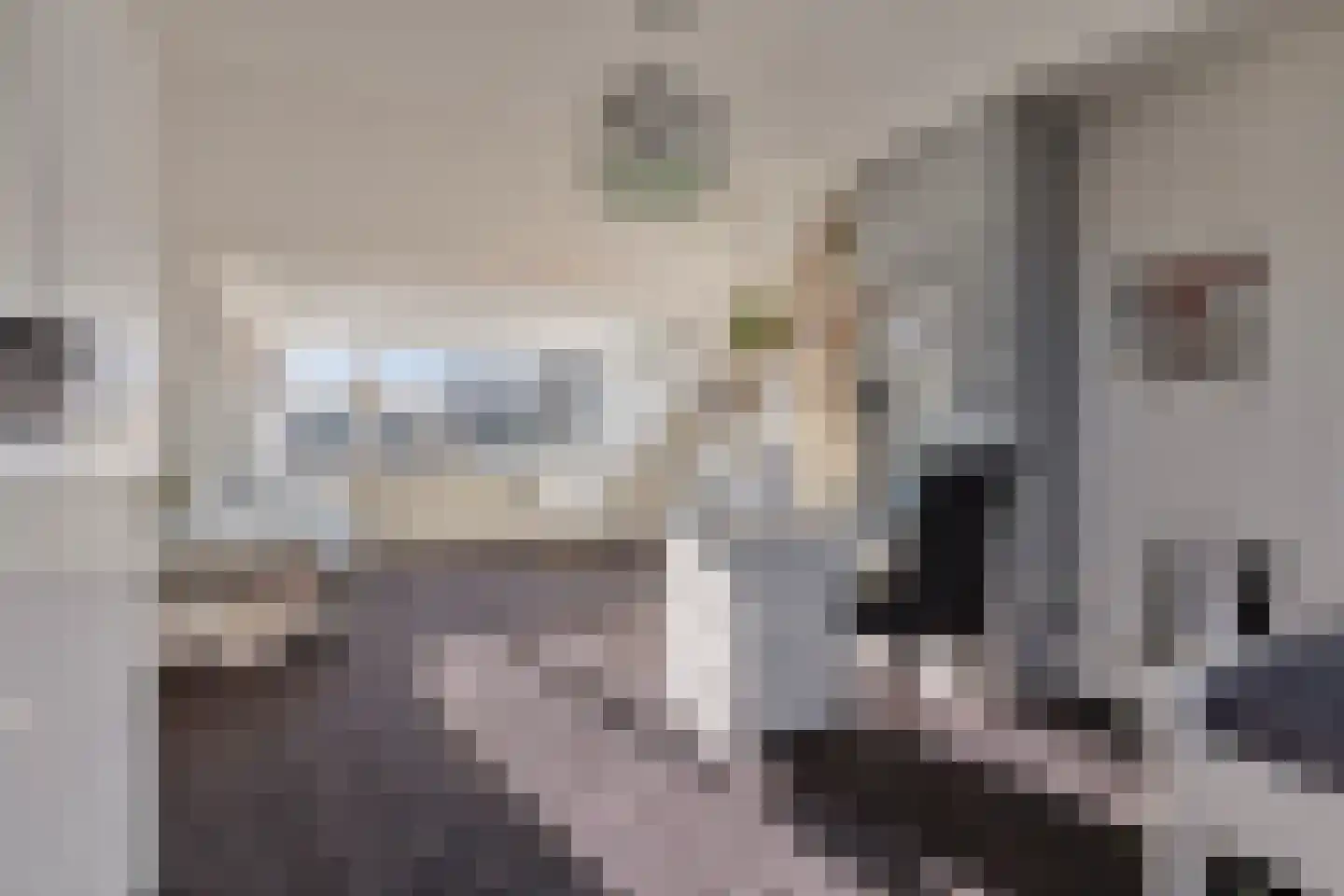 Dorpsstraat 140 Scherpenzeel thumbnail 40