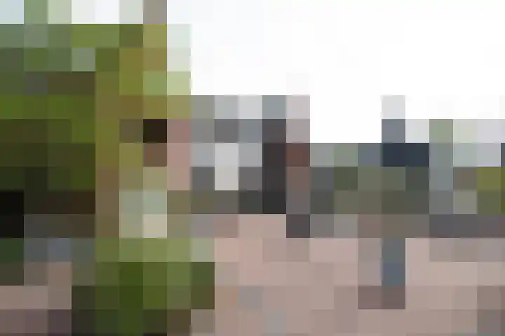 Dorpsstraat 141 a Enter thumbnail 67
