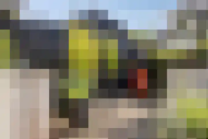 Dorpsstraat 142 Scherpenzeel thumbnail 32