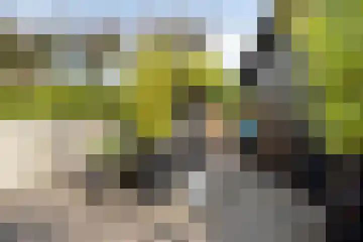 Dorpsstraat 142 Scherpenzeel thumbnail 33