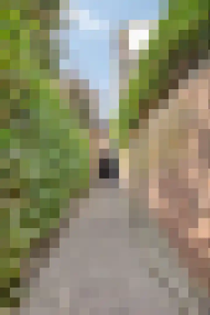 Dorpsstraat 142 Scherpenzeel thumbnail 38