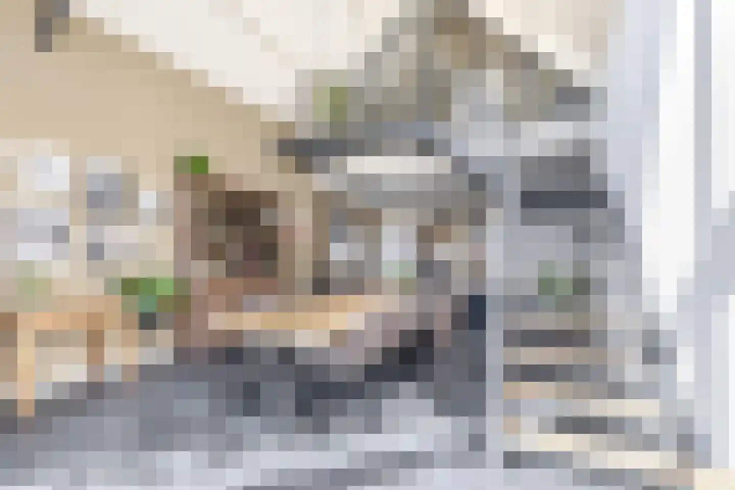 Dorpsstraat 142 Zevenhuizen thumbnail 18