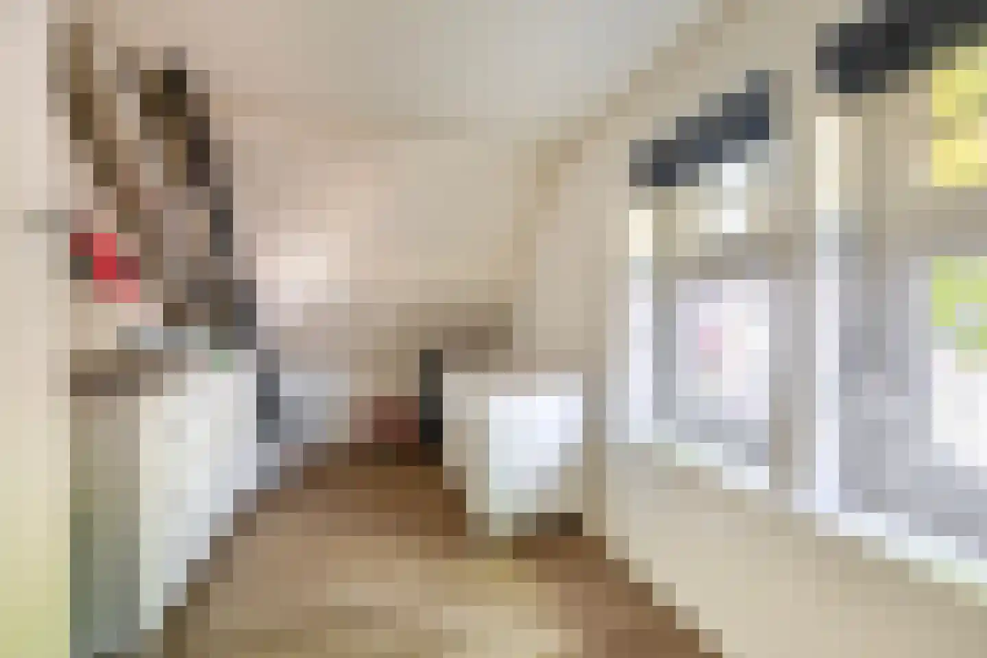 Dorpsstraat 142 Zevenhuizen thumbnail 27