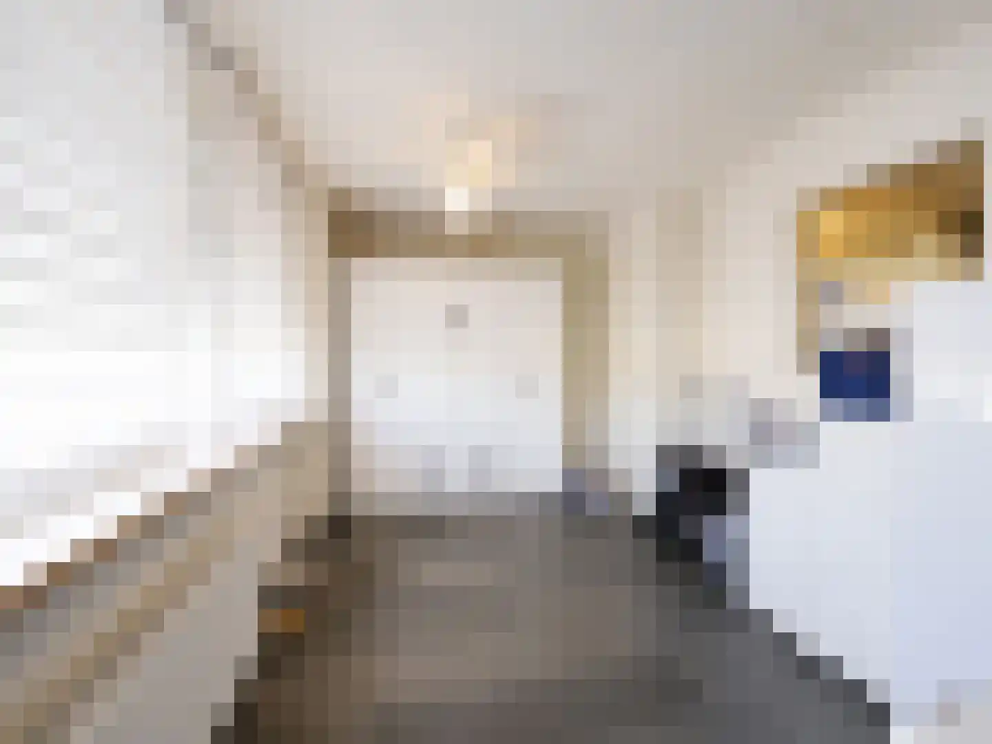 Dorpsstraat 144 B St. Willebrord thumbnail 10