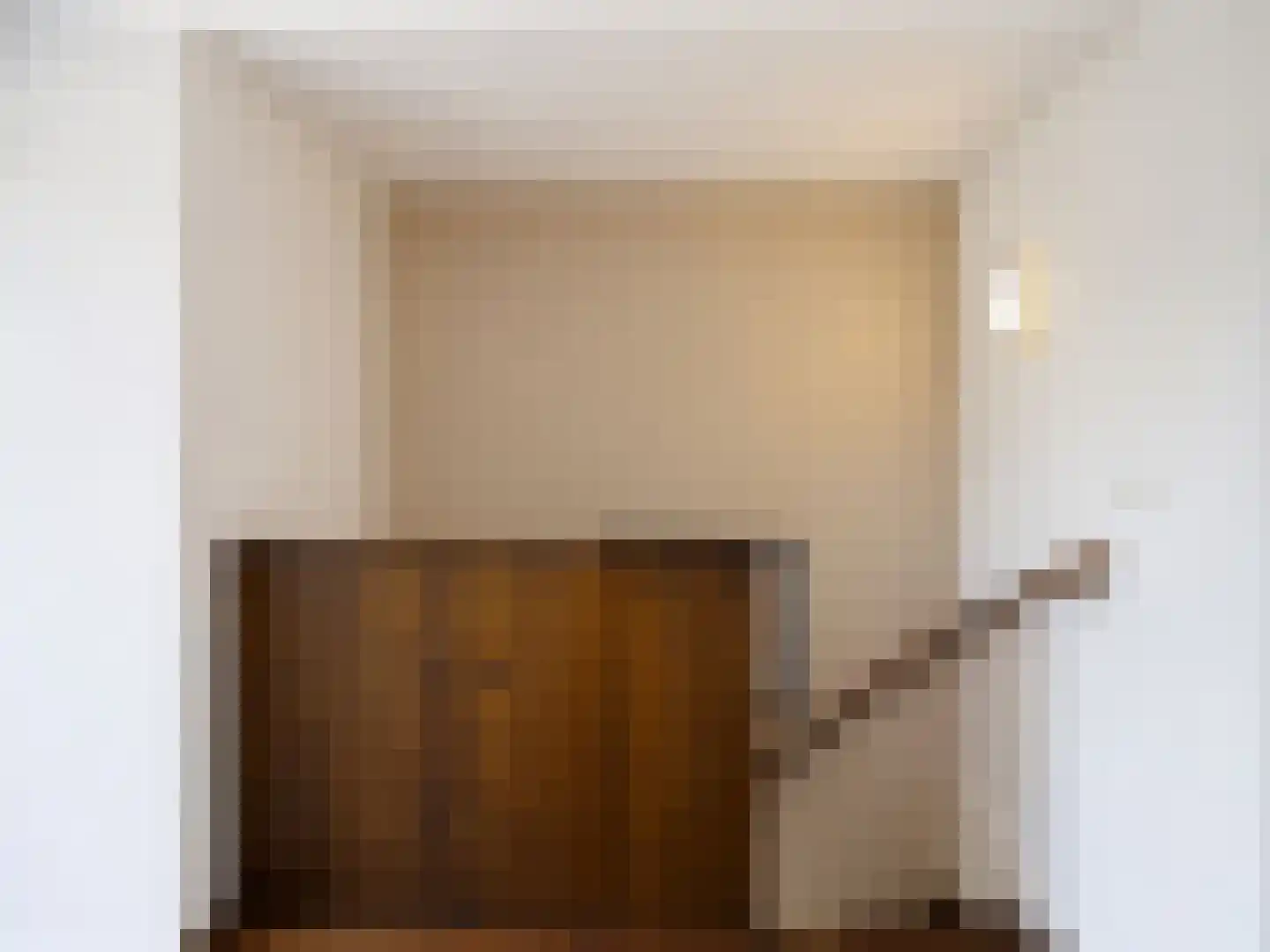 Dorpsstraat 144 B St. Willebrord thumbnail 20