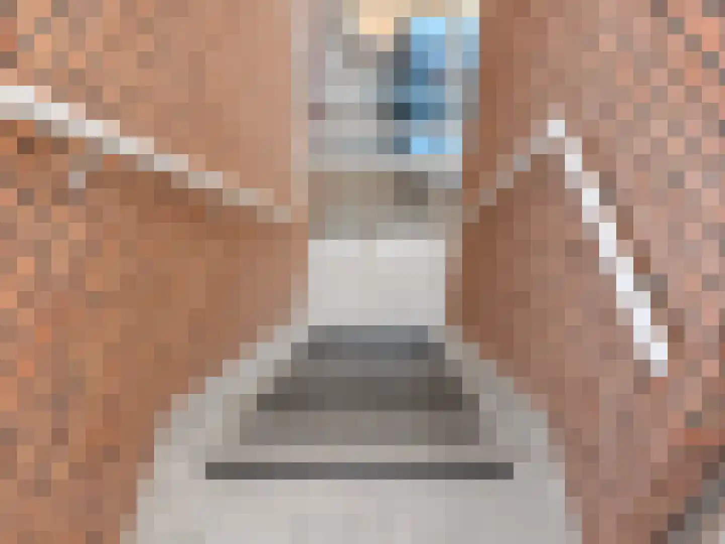 Dorpsstraat 144 B St. Willebrord thumbnail 30