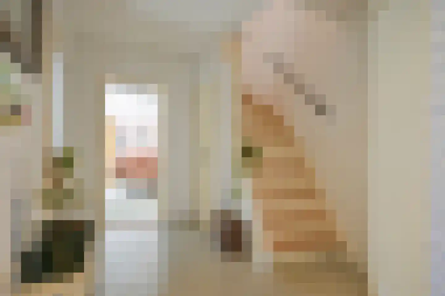 Dorpsstraat 144 Bingelrade thumbnail 7