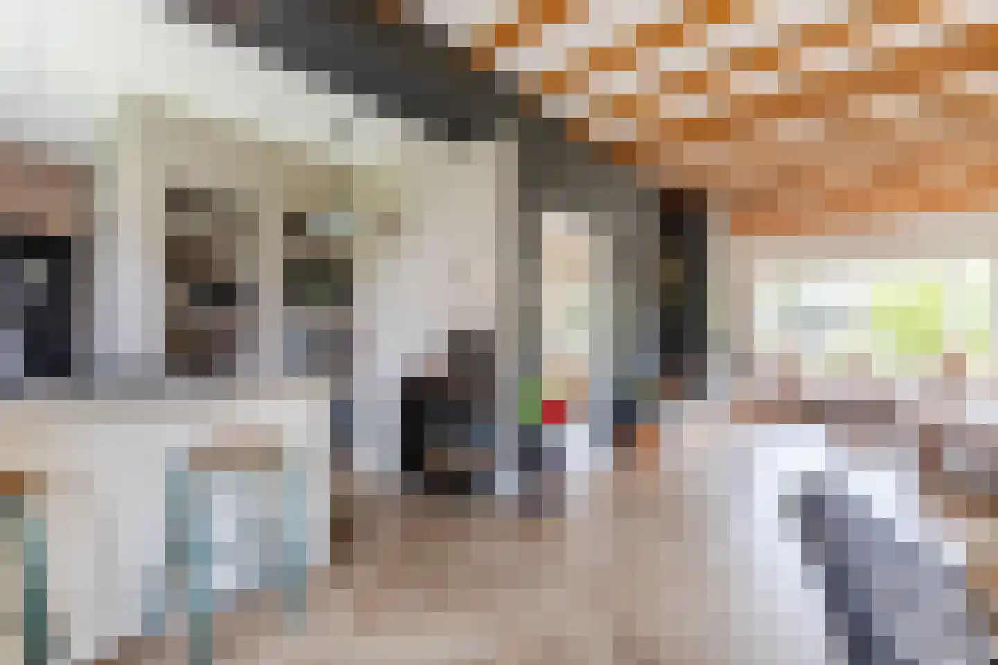 Dorpsstraat 145 Renkum thumbnail 12