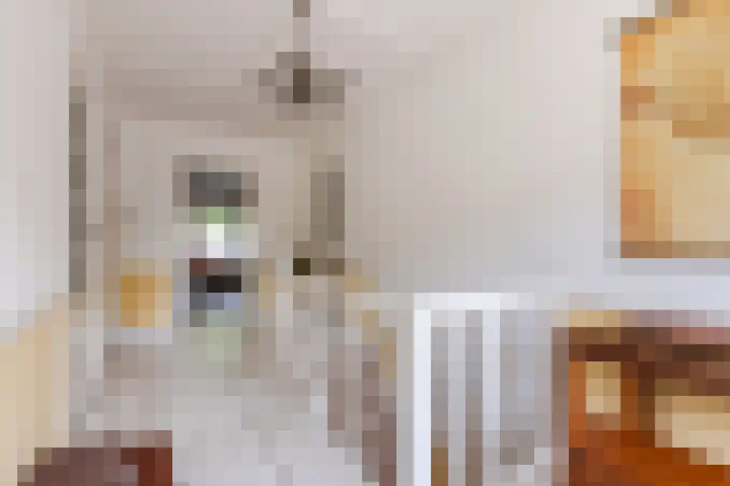 Dorpsstraat 145 Renkum thumbnail 30