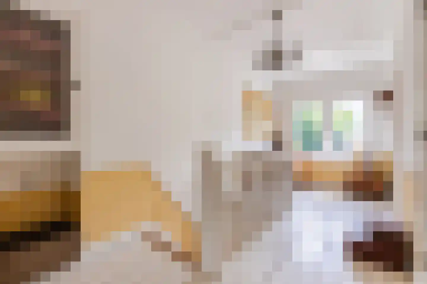 Dorpsstraat 145 Renkum thumbnail 31