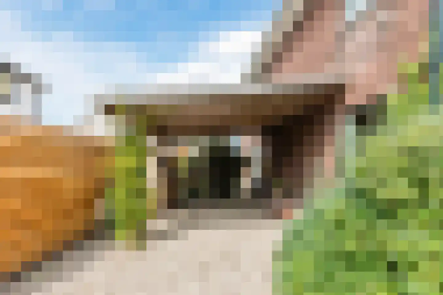 Dorpsstraat 145 Renkum thumbnail 46