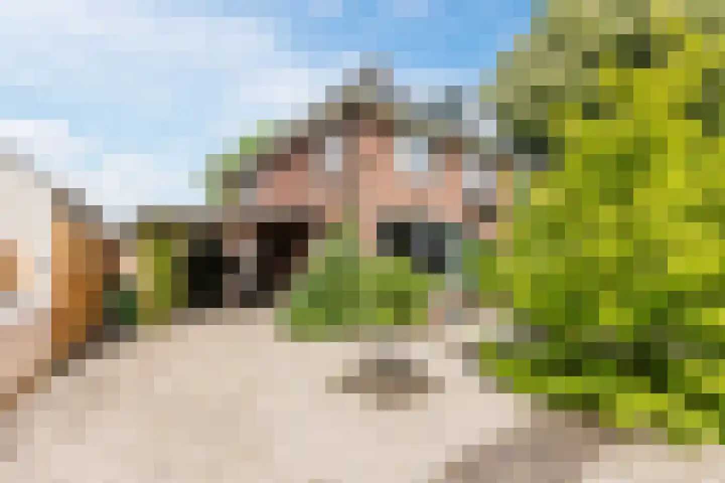 Dorpsstraat 145 Renkum thumbnail 47