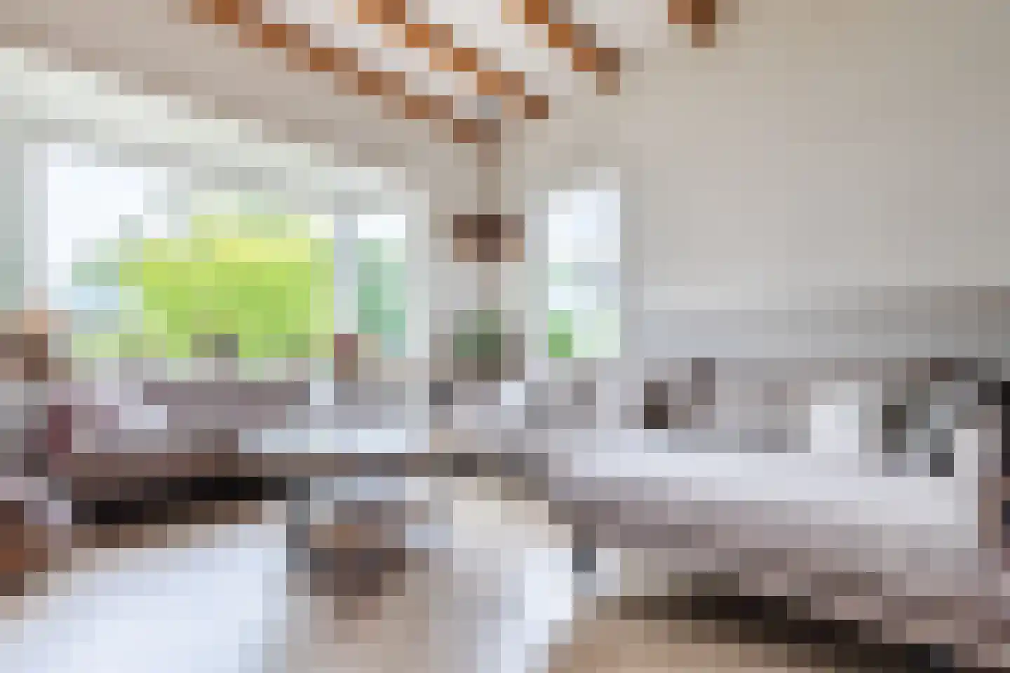 Dorpsstraat 145 Renkum thumbnail 7