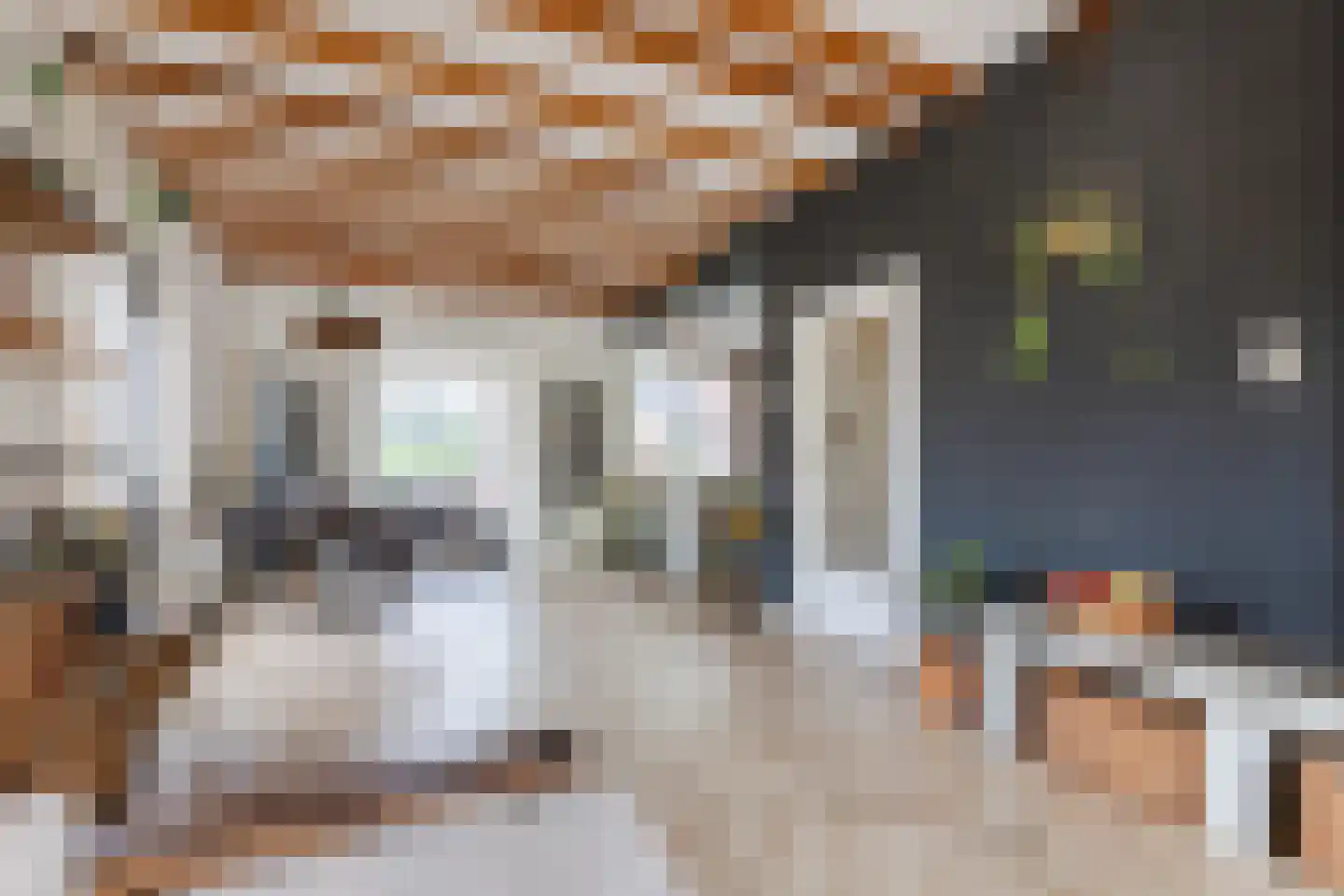 Dorpsstraat 145 Renkum thumbnail 8