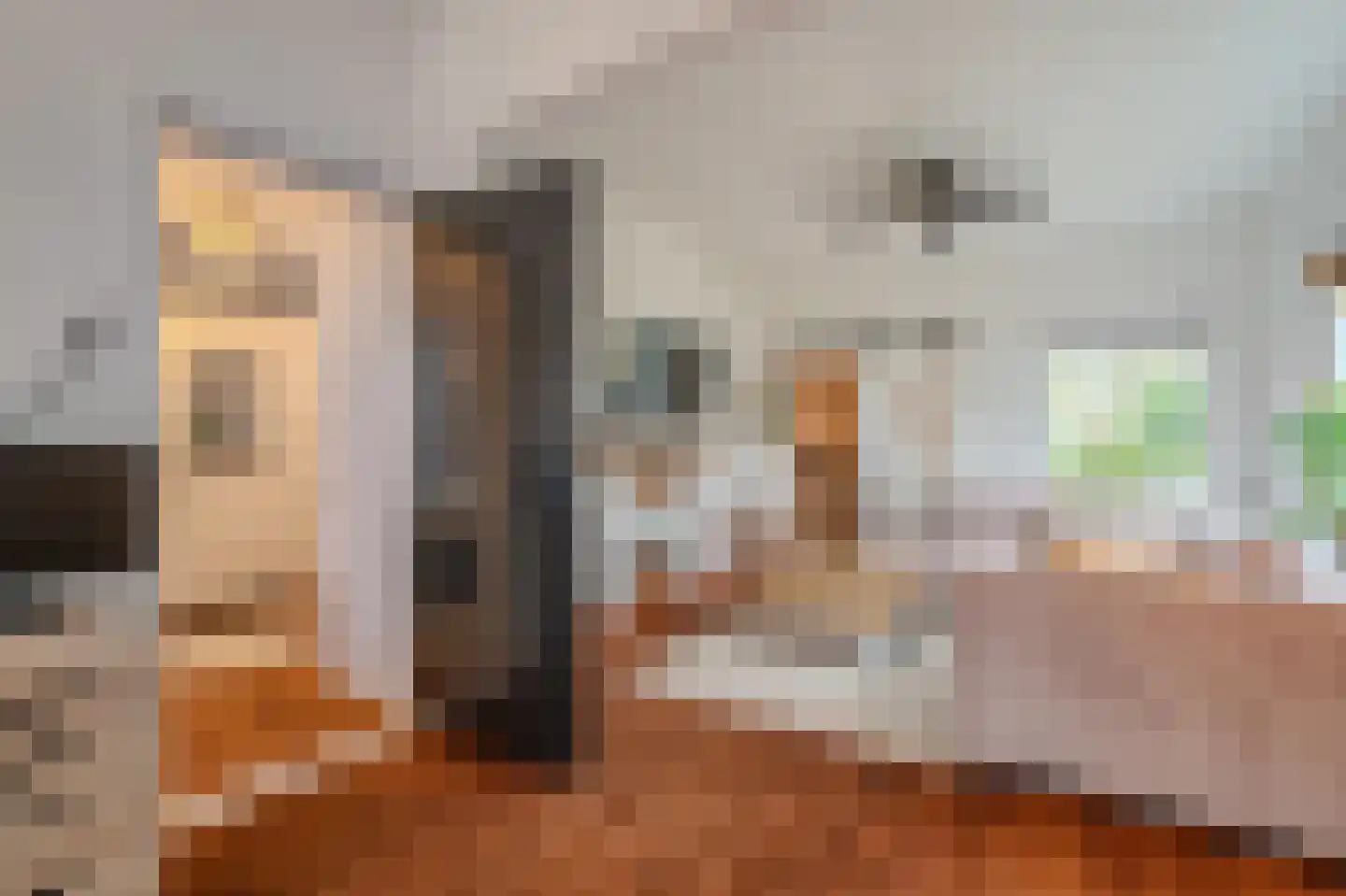 Dorpsstraat 145 Vriescheloo thumbnail 10