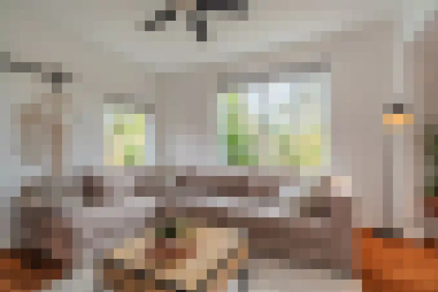 Dorpsstraat 145 Vriescheloo thumbnail 14