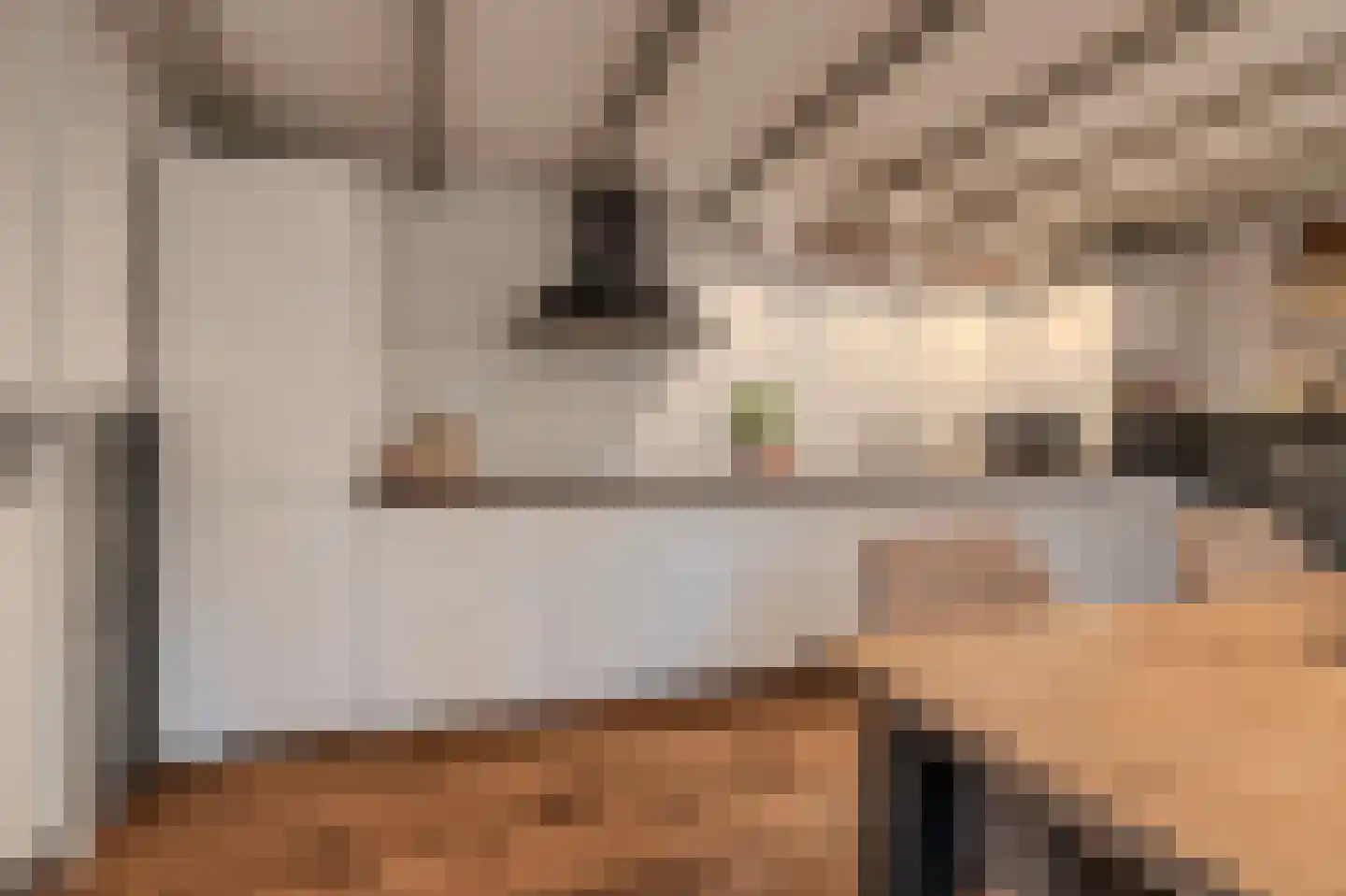 Dorpsstraat 145 Vriescheloo thumbnail 17