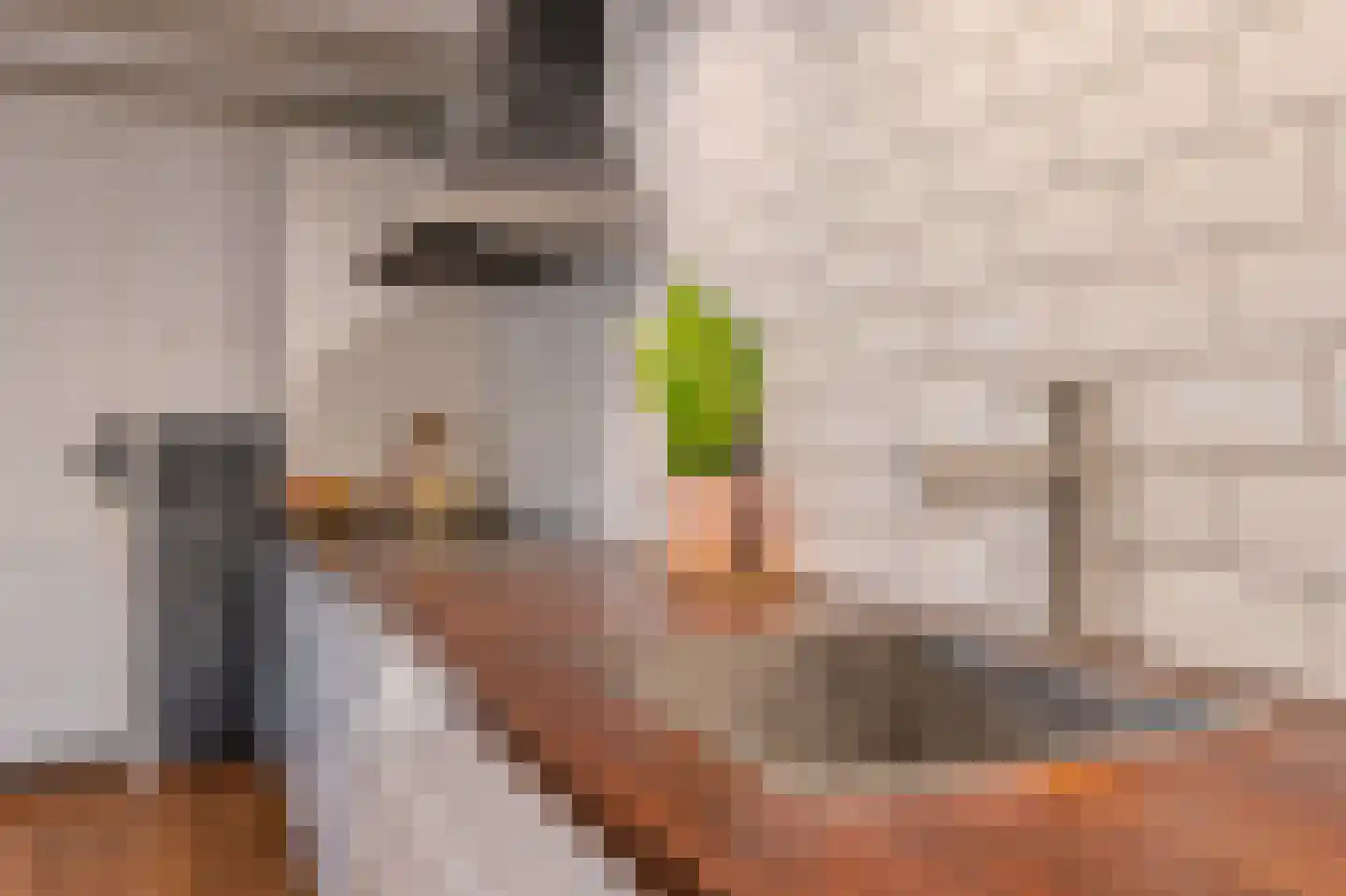 Dorpsstraat 145 Vriescheloo thumbnail 20
