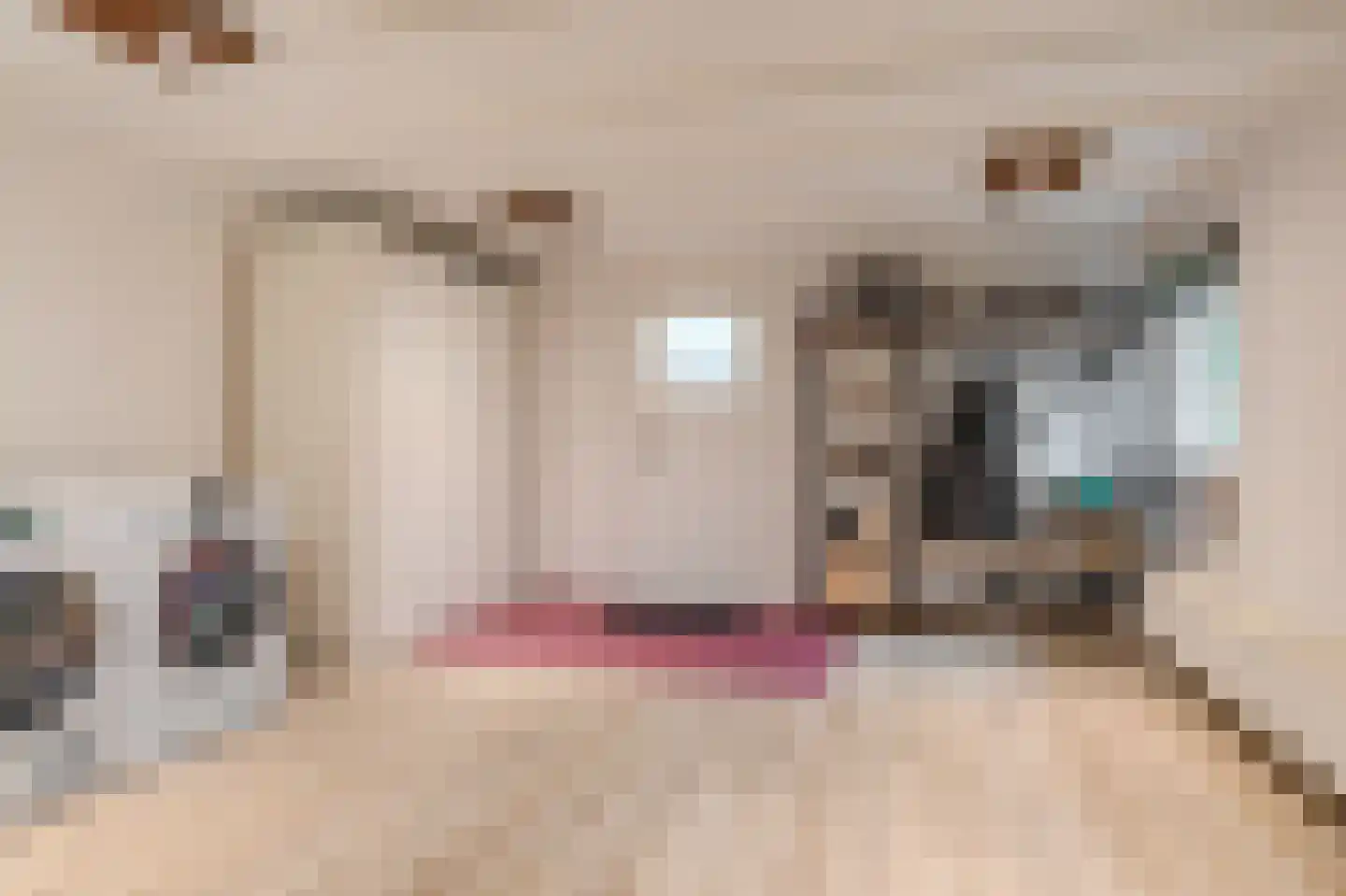 Dorpsstraat 145 Vriescheloo thumbnail 26