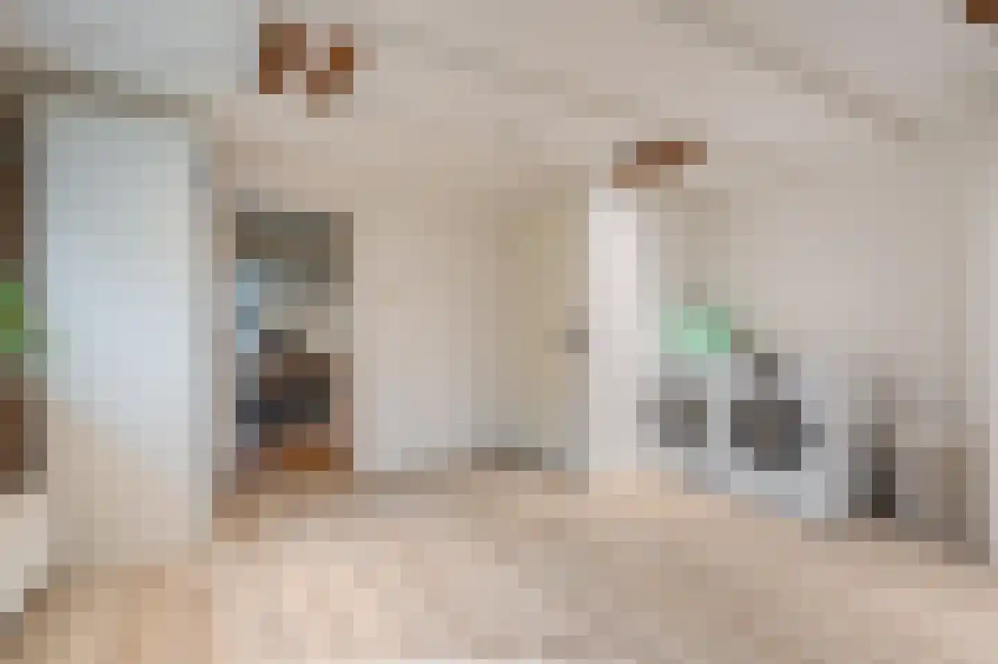 Dorpsstraat 145 Vriescheloo thumbnail 29
