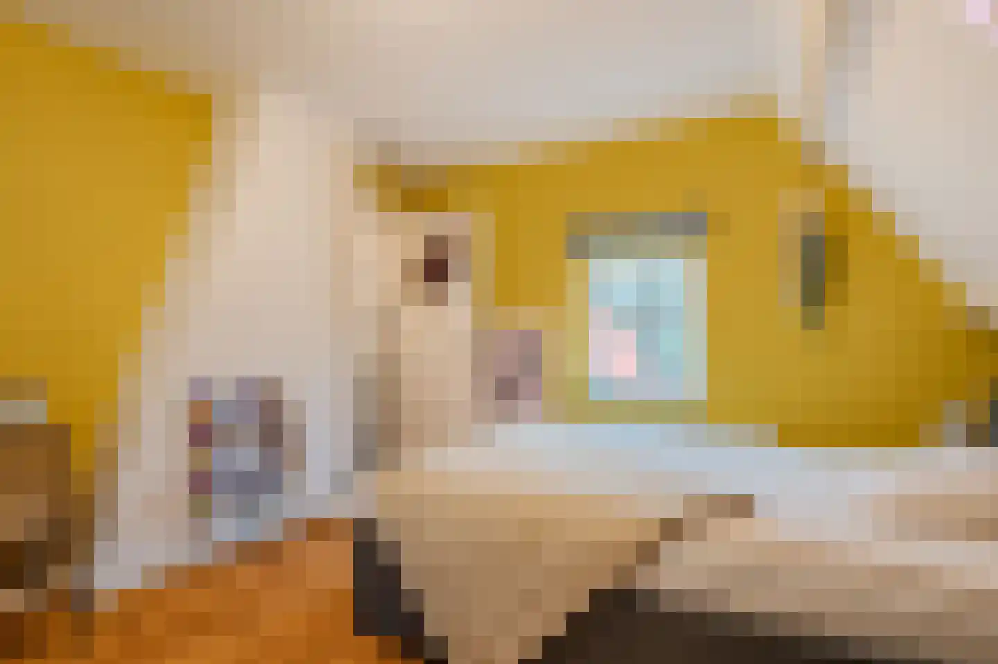 Dorpsstraat 145 Vriescheloo thumbnail 34