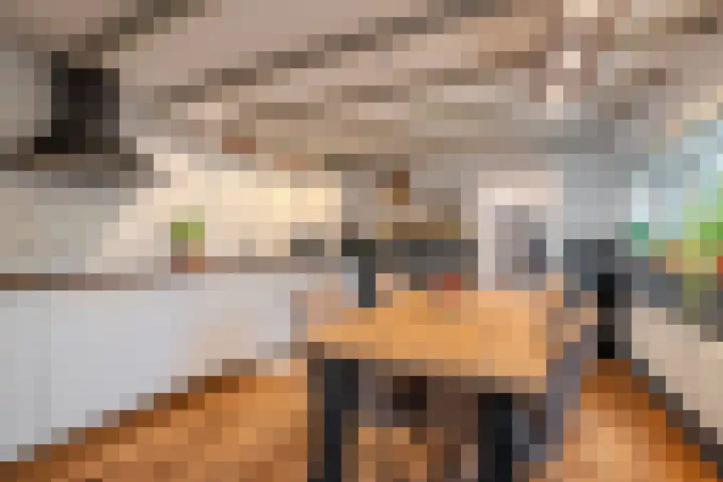 Dorpsstraat 145 Vriescheloo thumbnail 4