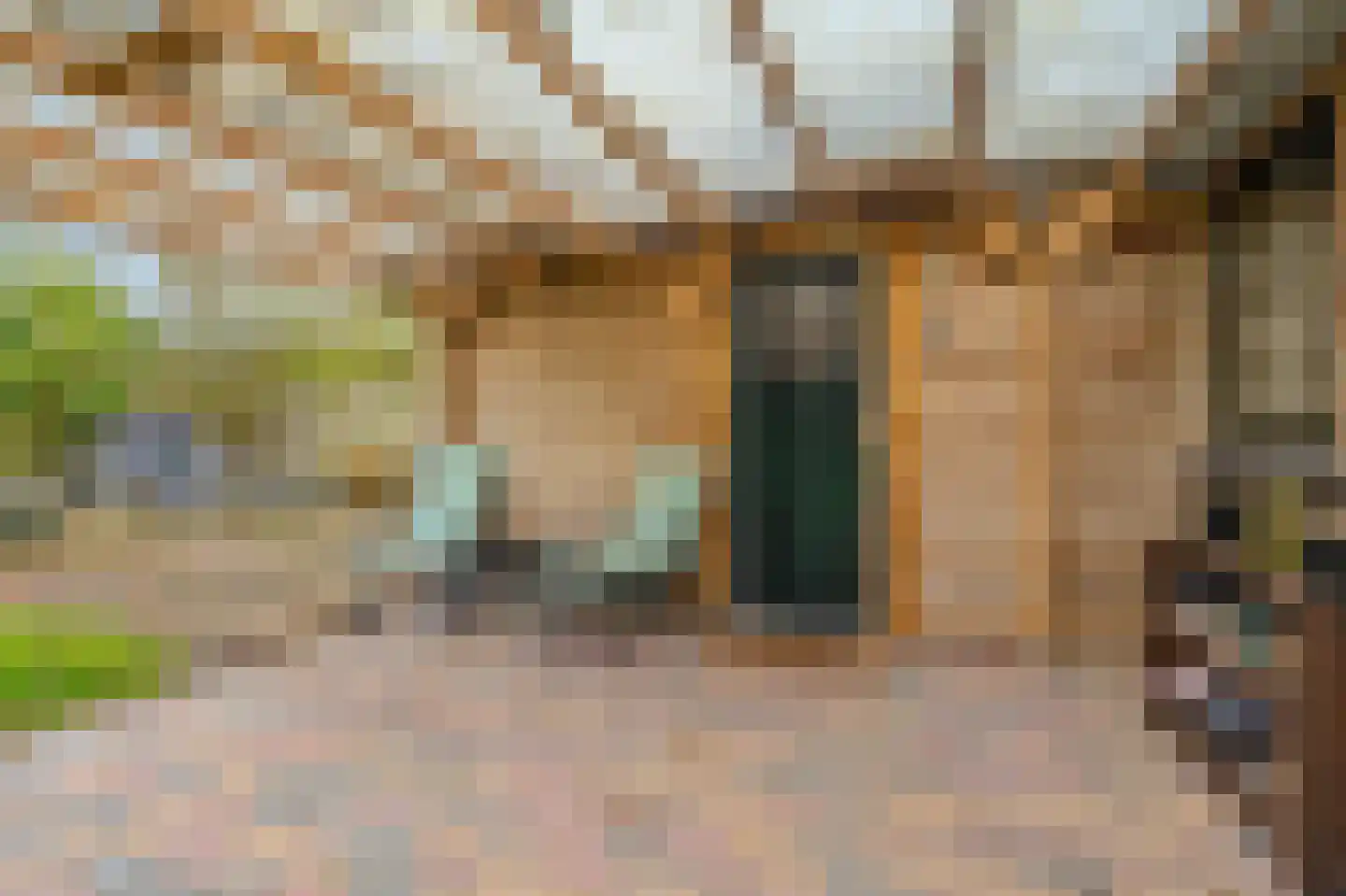 Dorpsstraat 145 Vriescheloo thumbnail 41