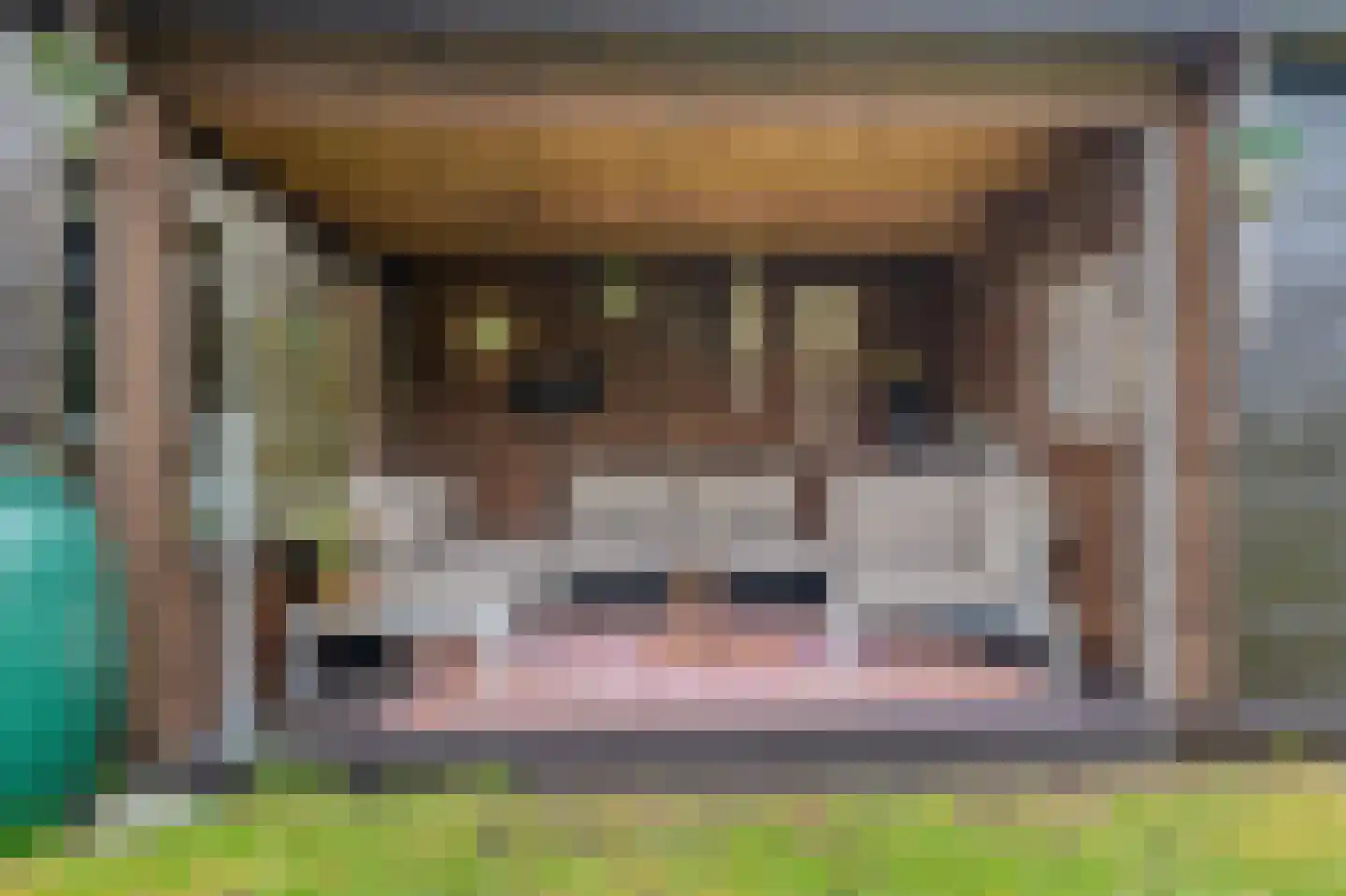 Dorpsstraat 145 Vriescheloo thumbnail 43