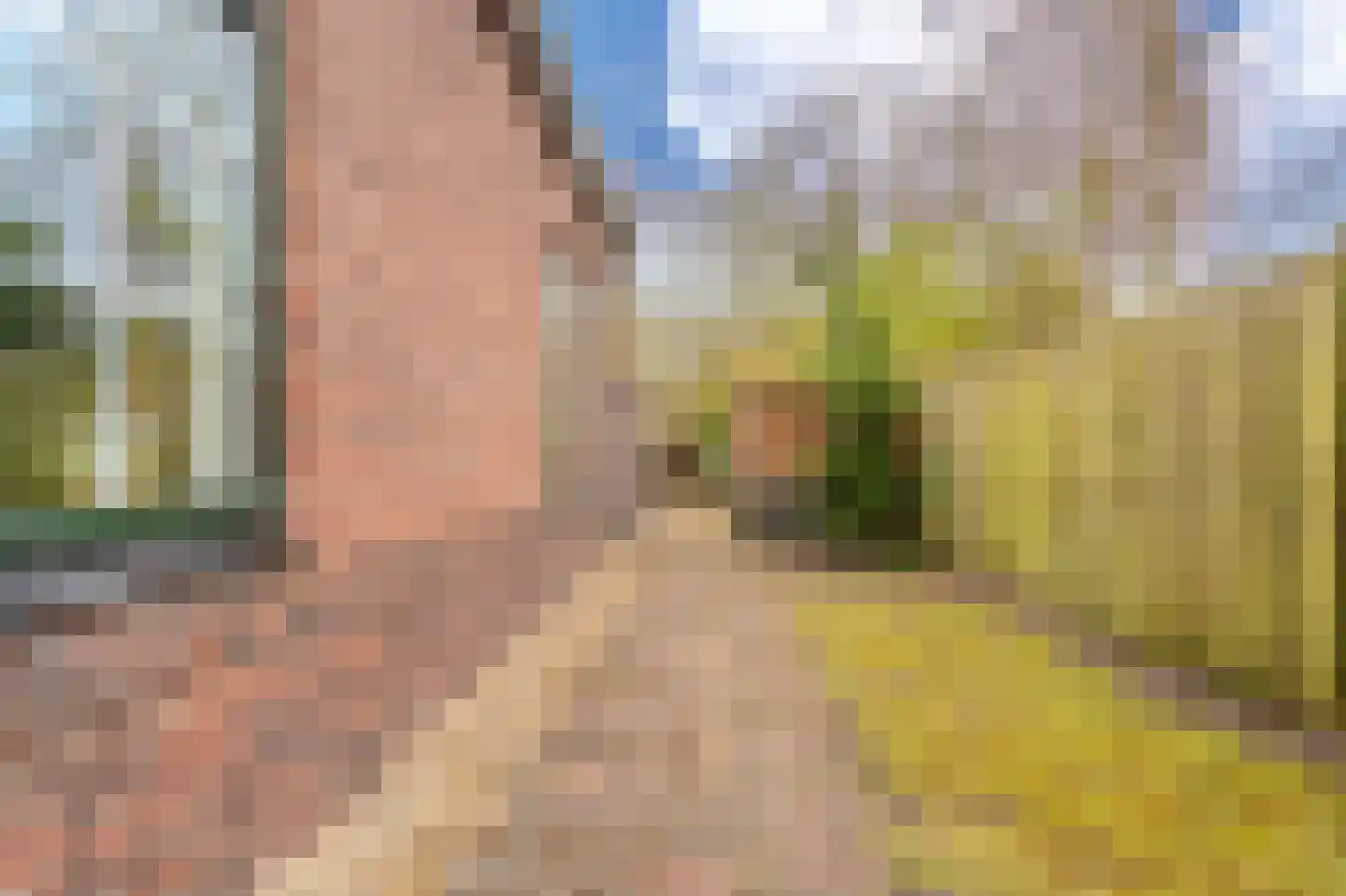 Dorpsstraat 145 Vriescheloo thumbnail 51