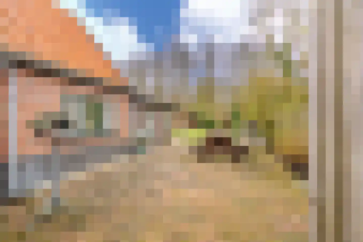 Dorpsstraat 145 Vriescheloo thumbnail 58
