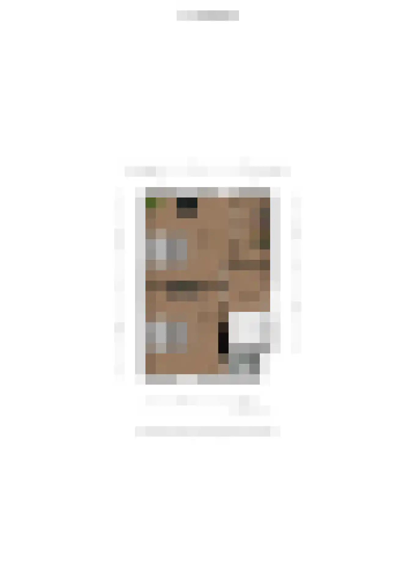 Dorpsstraat 145 Vriescheloo thumbnail 61