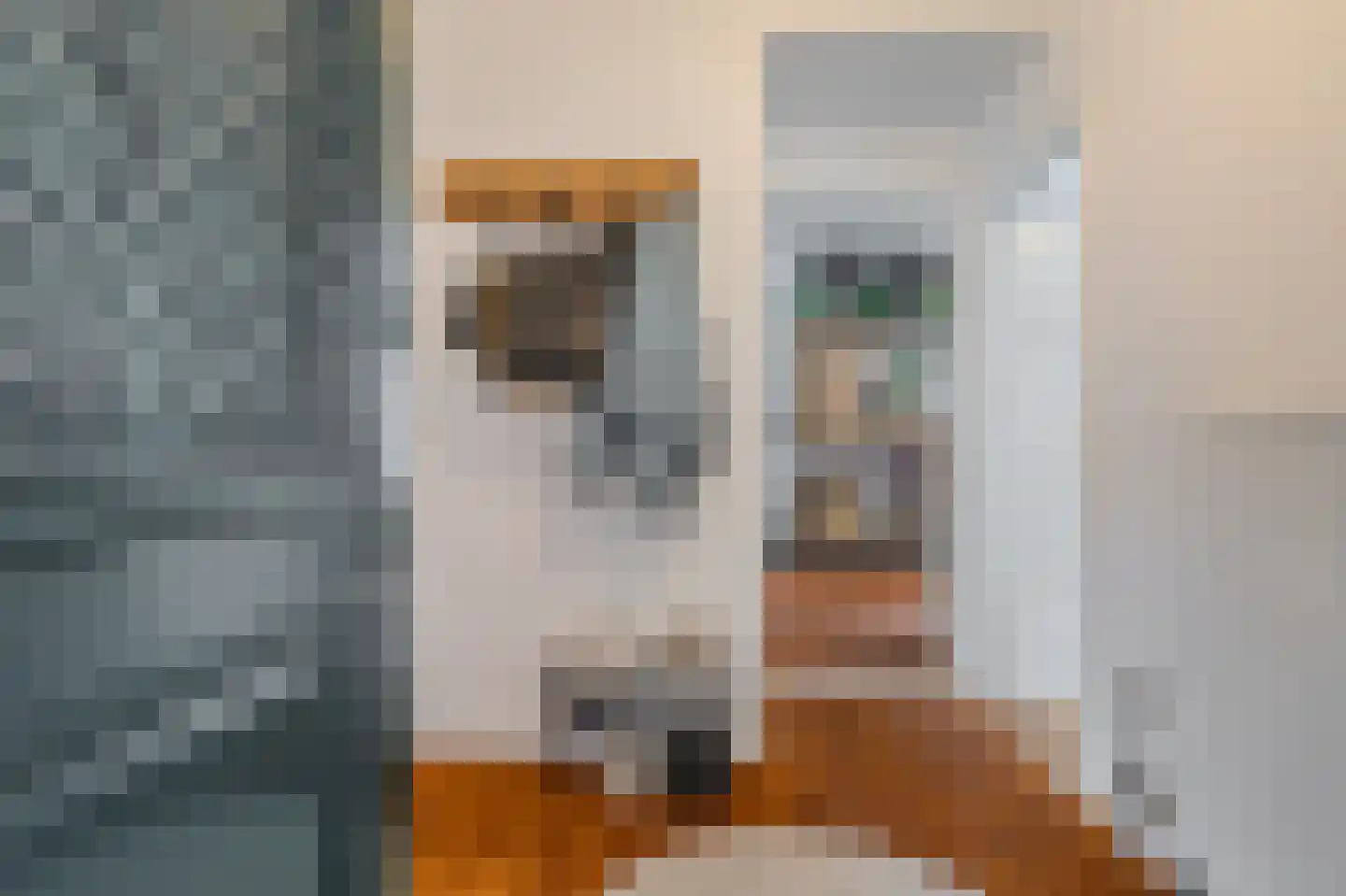 Dorpsstraat 145 Vriescheloo thumbnail 7