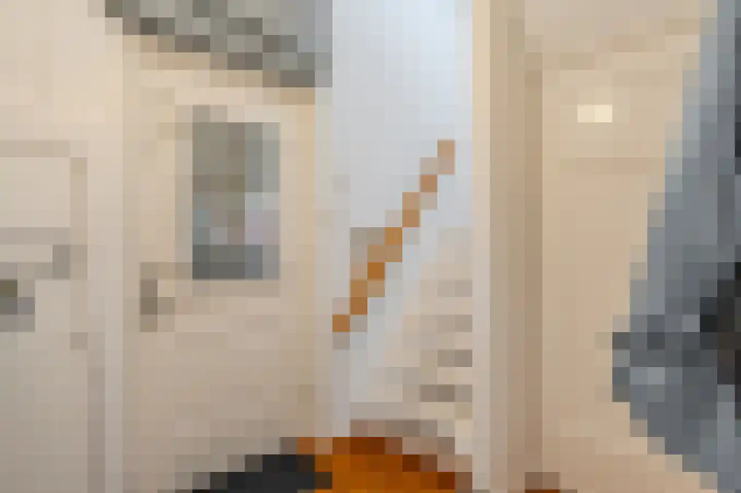Dorpsstraat 145 Vriescheloo thumbnail 8