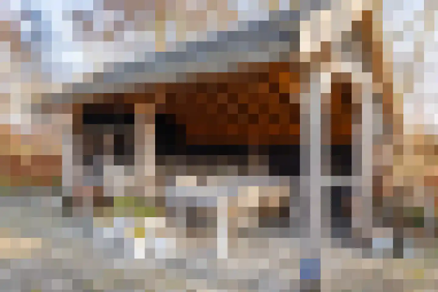 Dorpsstraat 147 A Zwaag thumbnail 38
