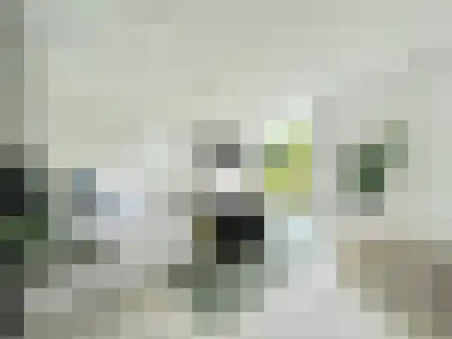 Dorpsstraat 147 Renkum thumbnail 12