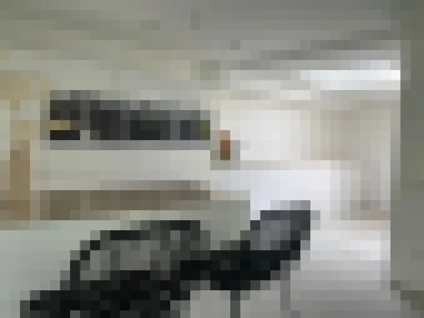Dorpsstraat 147 Renkum thumbnail 4