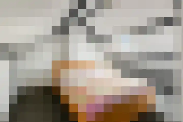 Dorpsstraat 148 Halsteren thumbnail 34