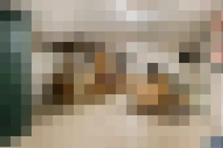 Dorpsstraat 148 Halsteren thumbnail 4