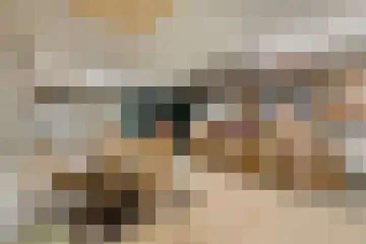 Dorpsstraat 148 Halsteren thumbnail 44
