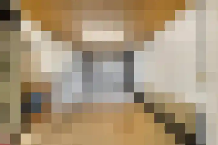 Dorpsstraat 148 Halsteren thumbnail 49