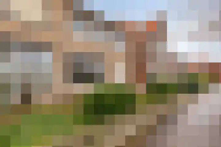 Dorpsstraat 148 Halsteren thumbnail 53