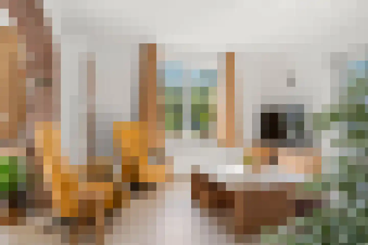 Dorpsstraat 149 Renkum thumbnail 32