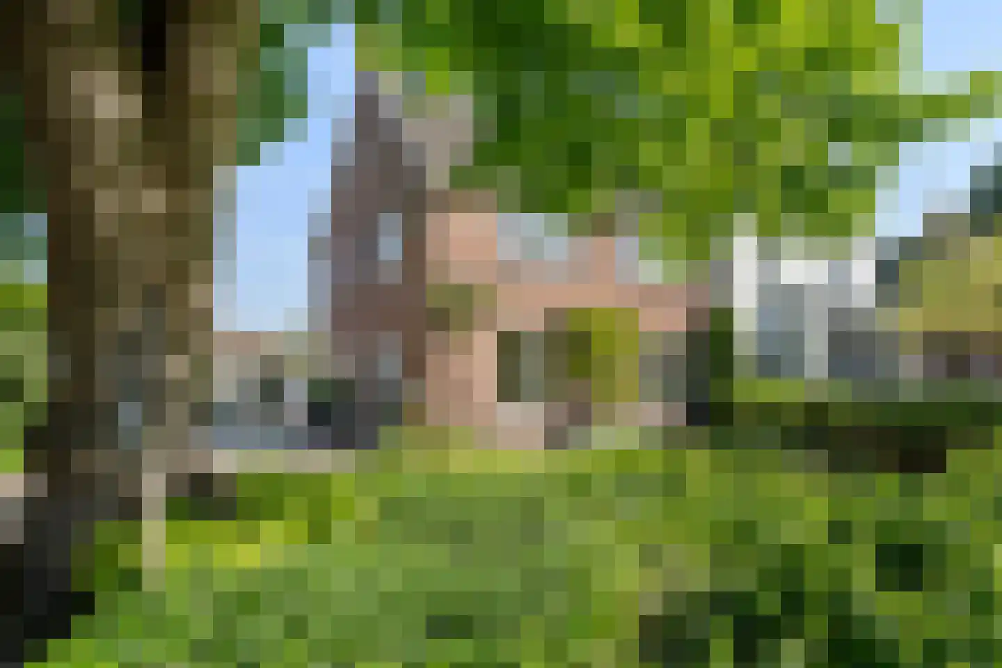 Dorpsstraat 149 Renkum thumbnail 6