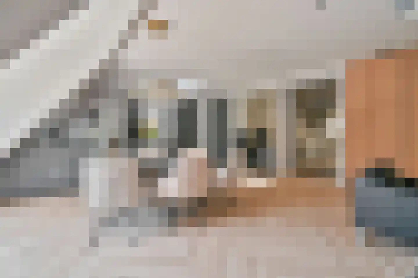 Dorpsstraat 15 B Lage Vuursche thumbnail 13