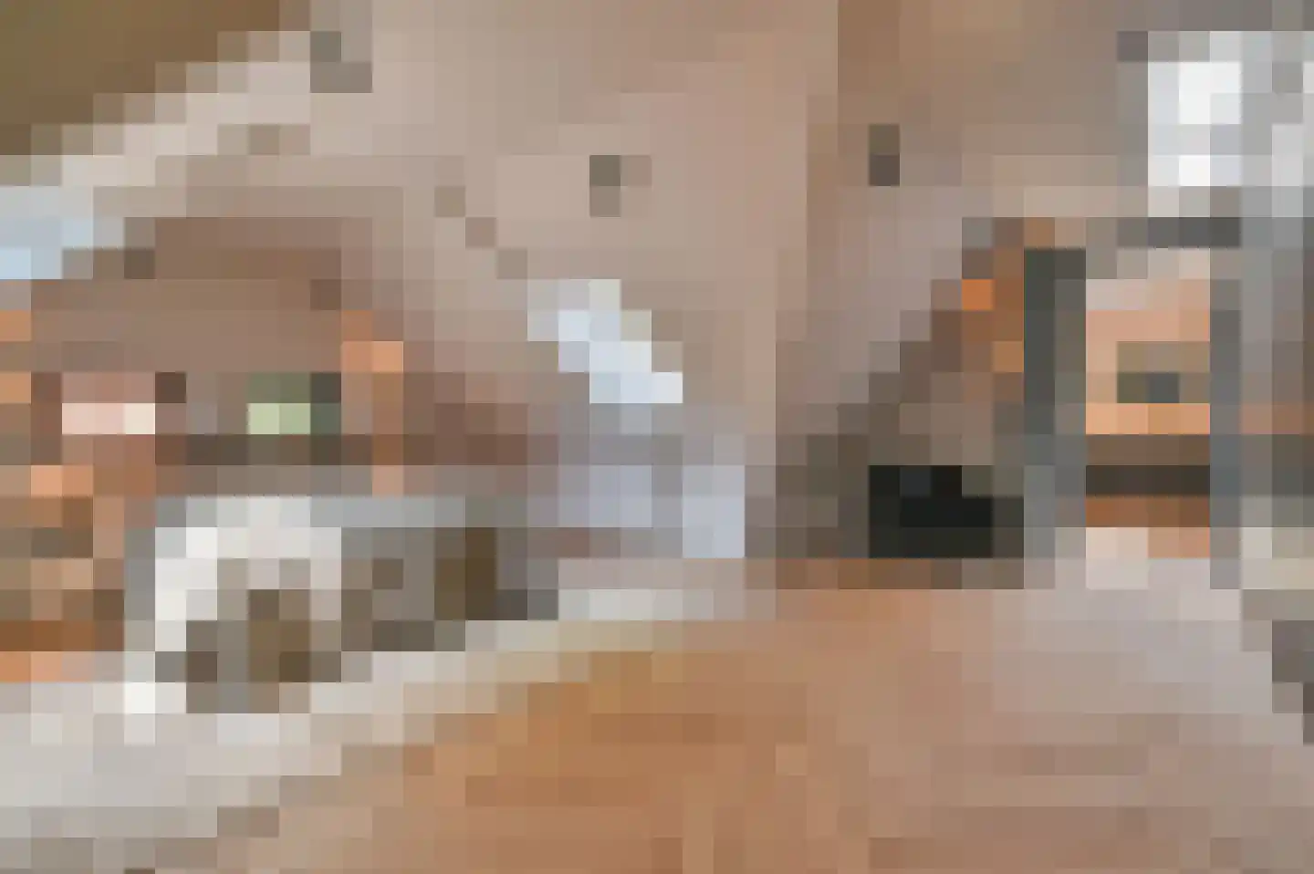Dorpsstraat 15 B Lage Vuursche thumbnail 28