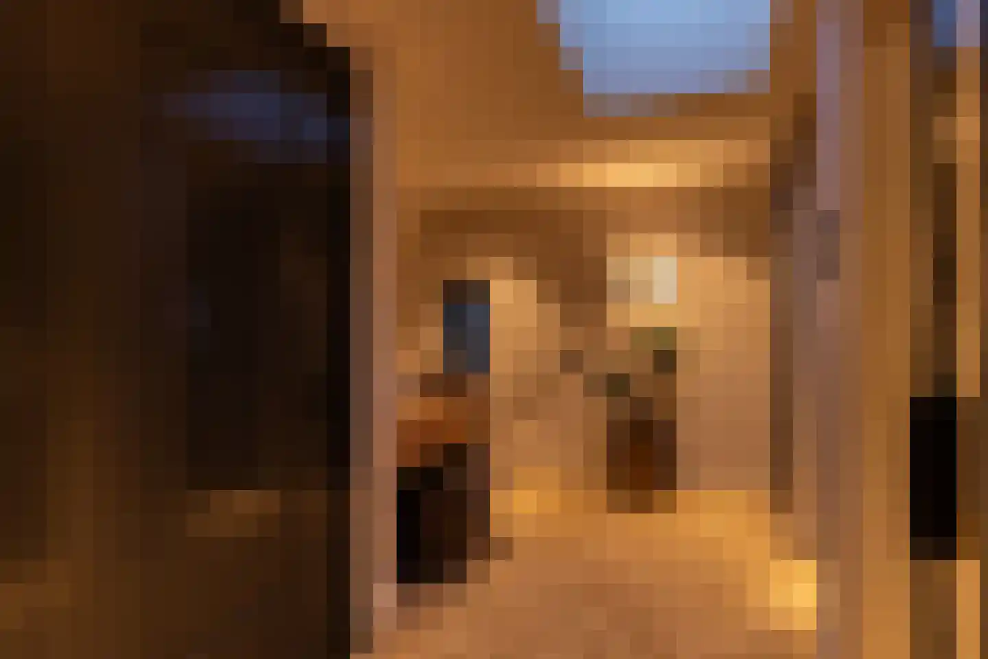 Dorpsstraat 15 B Lage Vuursche thumbnail 5