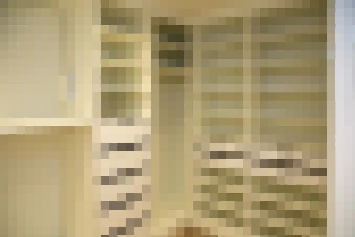 Dorpsstraat 15 D Diepenveen thumbnail 33