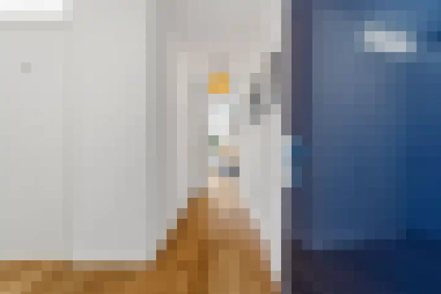 Dorpsstraat 15 g Nootdorp thumbnail 10